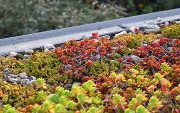 the cost of Witham On The Hill green roof installation